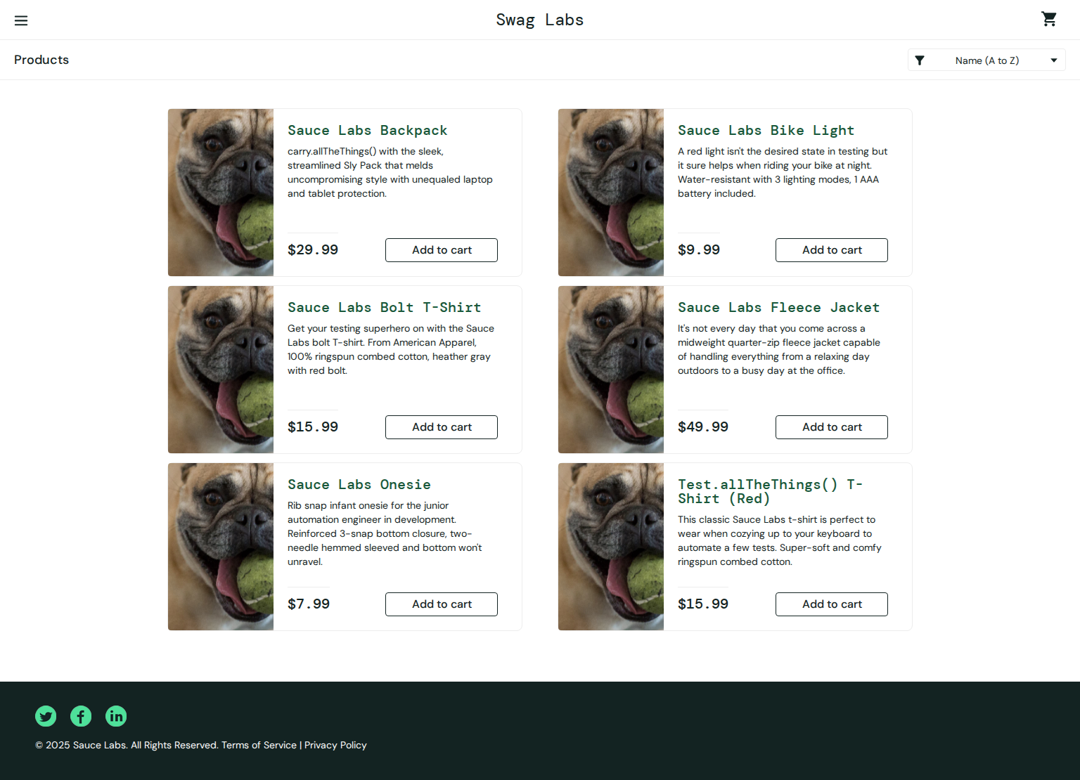 Test failure screenshot